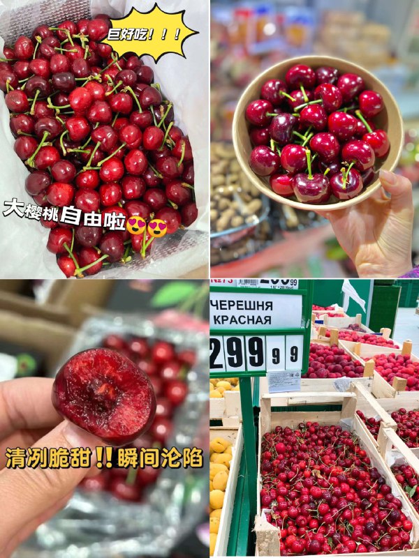 18.9💵【限量500件】山东烟台新鲜大樱桃3斤装)24gYdok5vGt)/ CZ11//Q弹爆汁 国产大樱桃忒好吃！折合7💵/斤 必囤山东大樱桃