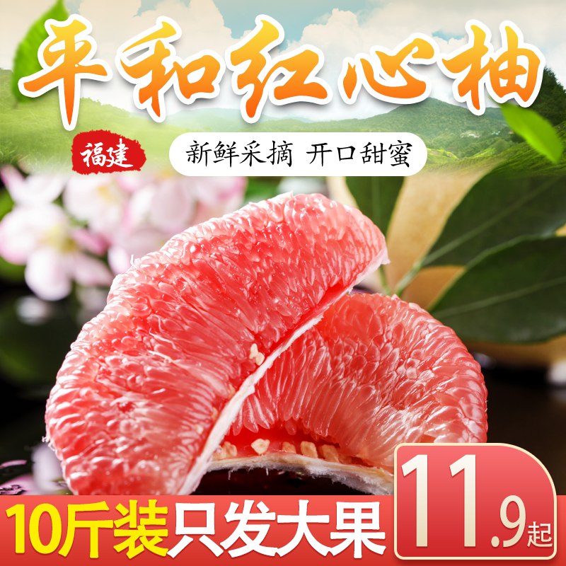 福建平和红心柚子4.5斤  9.9  (KjR6c40J8Yf)