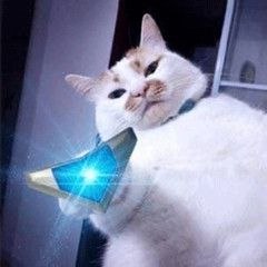 [CQ:at,qq=all] 日常艾特今晚零点车更新的差不多了，爬楼到23点20分左右看看好价凑单0点结束 上翻还有很多好价可买