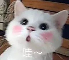 今晚20点开始凑单活动 下面发的20点开始