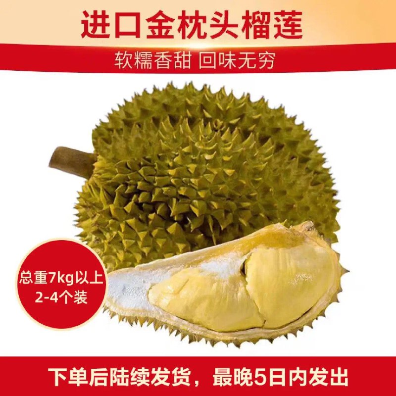 先领20点开始