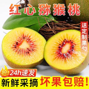 13.9元  神价猕猴桃速度拍【中果】 30枚的选项!四川蒲江红心猕猴桃中果30枚(MGgu2Gvsk1D)/