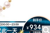 有一个项链是930付四百多好像