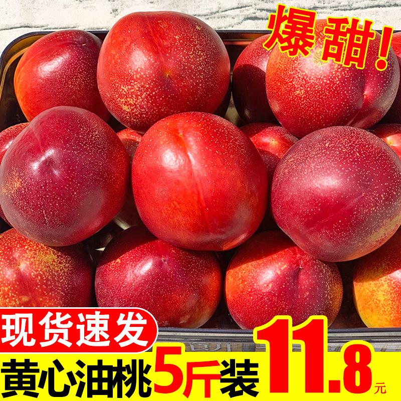 21点 前1000件5折=14.4亓黄心油桃新鲜水果5斤   (bTT21JG4HLT)
