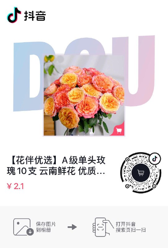 Dy花2.1，自辩