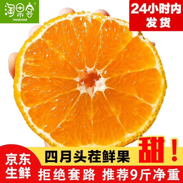淘果客四川青见 柑橘脐橙 5斤鲜果【净重4.5-5斤】