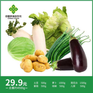 【京东直配】新鲜蔬菜套餐送到家4500g 套餐A 24.9元