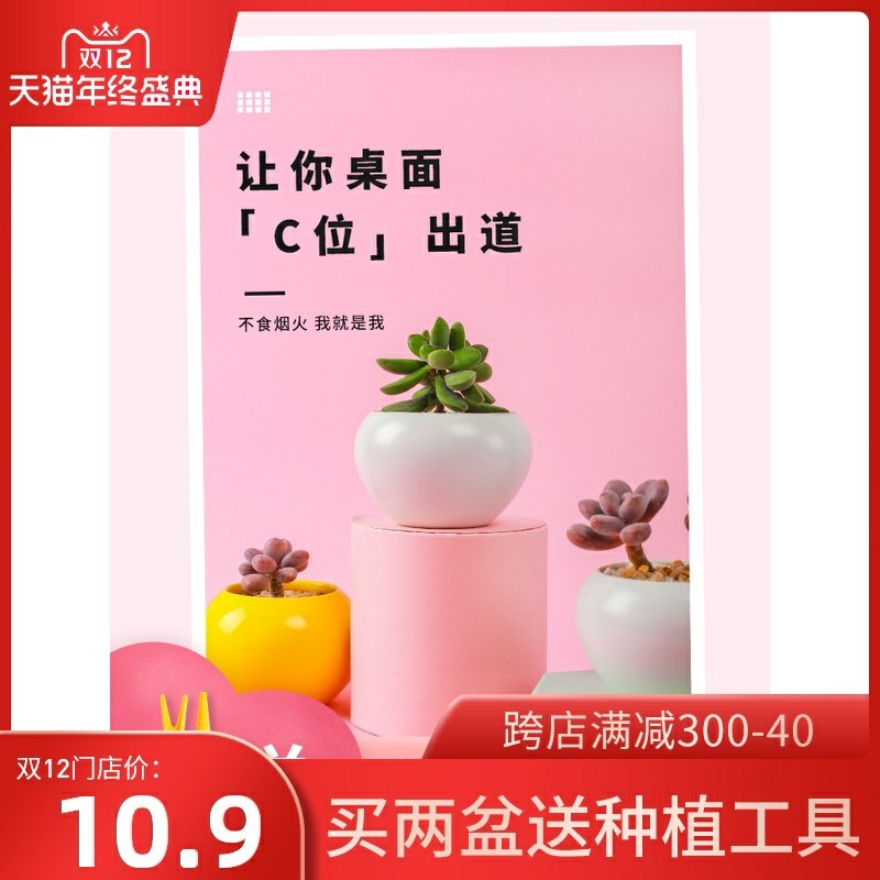 0点开始  拍下5.9元多肉植物盆栽含盆(VhqscL8JZy6)/