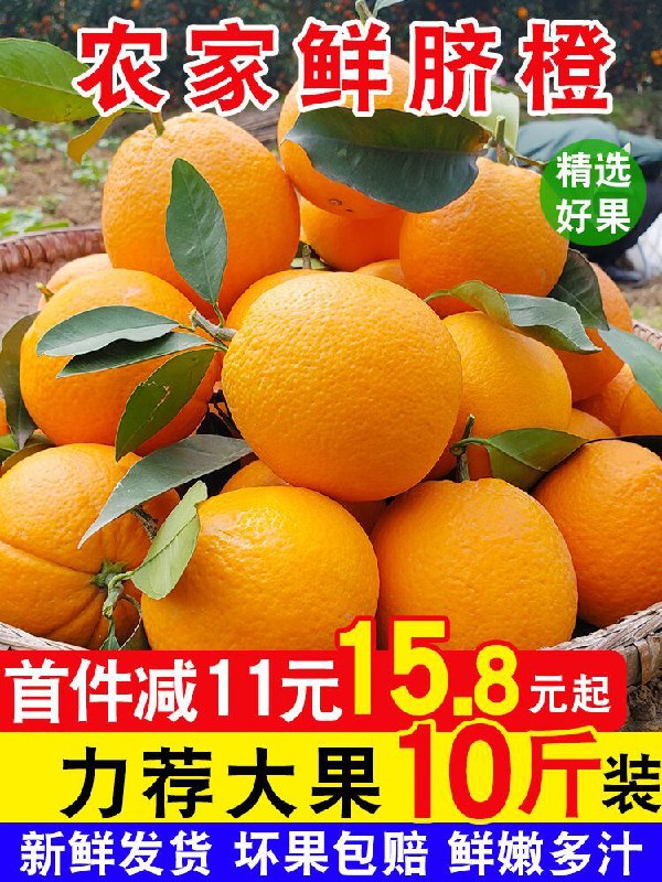 1.领券 加入购物车1件2.领商品下149-15元购物券嘉州园新鲜脐橙10斤装(J9ggct6YcC3)/