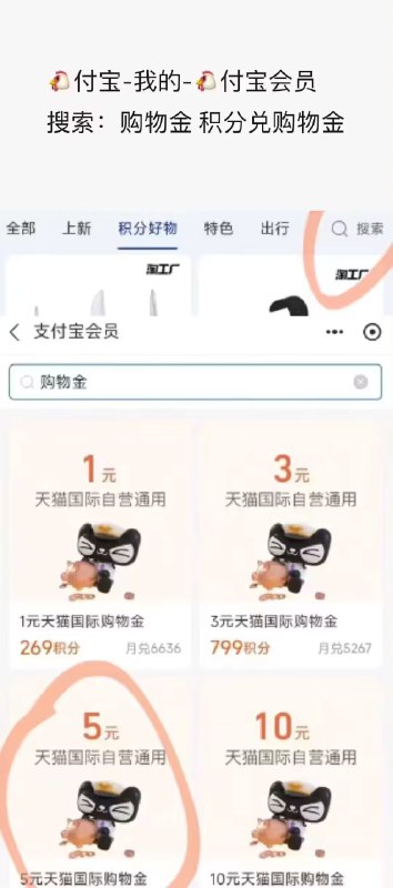 如图，兑换5天猫国际购物金先拿了，来个神圿乌冬面方案