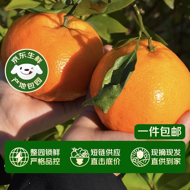 【自营】 京鲜生 四川春见耙耙柑净重4.5-5斤 单果170g+