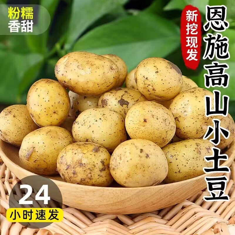 6.5💵 美食补贴好价正宗恩施黄心小土豆3斤)khBXW0yPOVn)/ CZ11//烧排骨 炖牛腩 干煸土豆~
