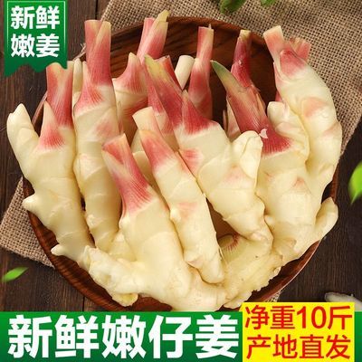 生姜新鲜嫩姜新鲜仔姜嫩现挖鲜姜黄姜老姜子姜嫩姜新鲜蔬菜2-10斤11.6元
