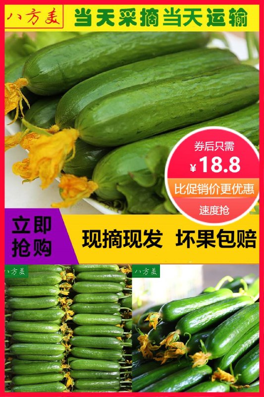 18.8元 八方美旗舰店新鲜水果黄瓜*5斤(2fXn2NRHp77)/
