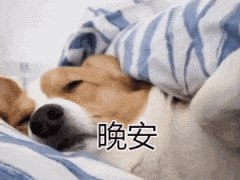 每天0点 10点注意群内更新早起的还可以翻翻记录看看爬楼11点左右 很多还可以买