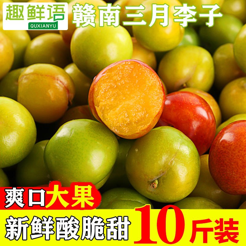 13.2元 【趣鲜语旗舰店】酸甜爽口3斤三月脆李子 (hcG9X3QxQf0)/