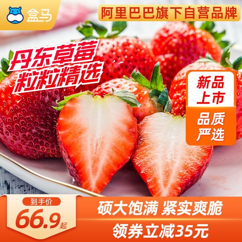 79.9元 盒马生鲜旗舰店丹东中大果99红颜草莓1400g(3g2x2VdQA6a)/