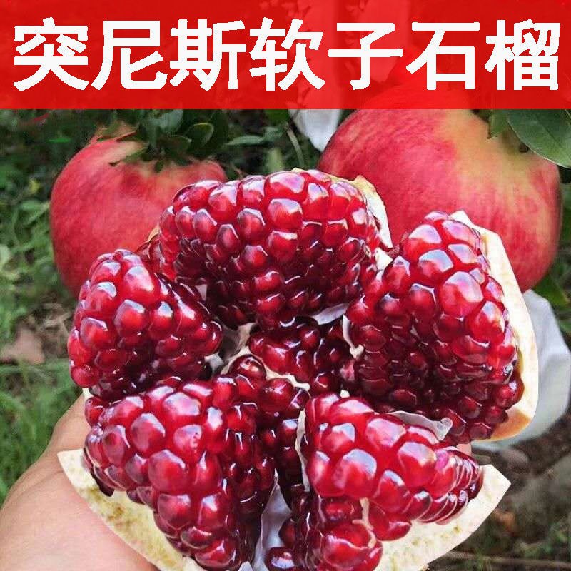 【不吐籽软籽石榴】会理突尼斯软籽石榴甜石榴新鲜当季孕妇水果