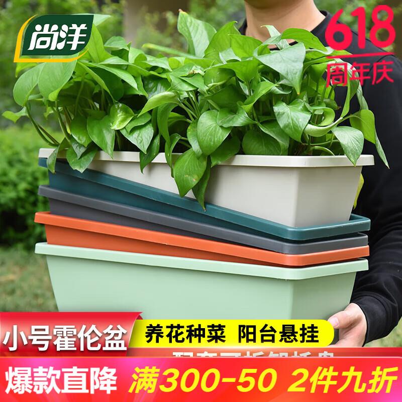 叠200-20补贴 plus500-40券页面领99-10券 拍6凑后付3亓尚洋霍伦种菜花盆小号