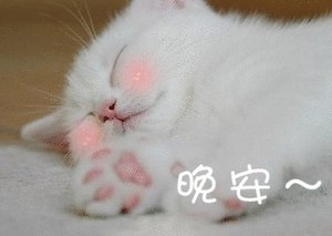 今晚就到这里啦，早起的群友爬楼看看，早点休息吧，晚安~
