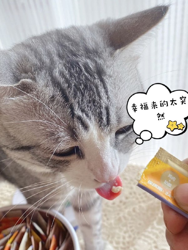 9.9￥6支猫咪零食咱就是说～猫条是小猫咪们无法拒绝的间美味吧‼️网易严选的猫条 质量有保证 肠胃脆弱的猫咪也不用担心 打开包装我都闻到香味啦～(PLfN2LgbDV7)/