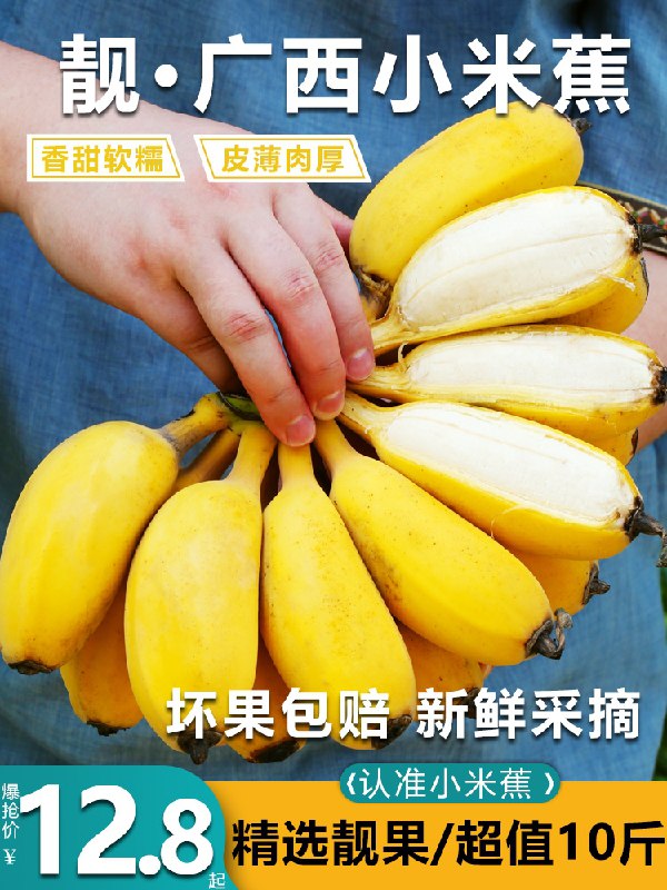 9.8元 鲜班长旗舰店广西香蕉精选新鲜小米蕉3斤(nrDhXoRdvbq)/