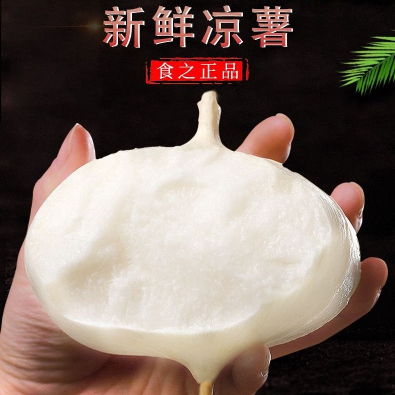 24.9新鲜凉薯5斤 
