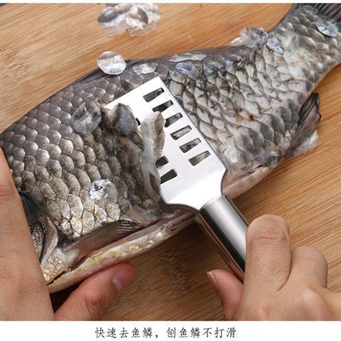 家用鱼鳞刨不锈钢鱼鳞刀刮鱼鳞神器打鳞器去鱼鳞工具鱼鳞刷去鳞器，0.9元业务服务错误【1.3折】