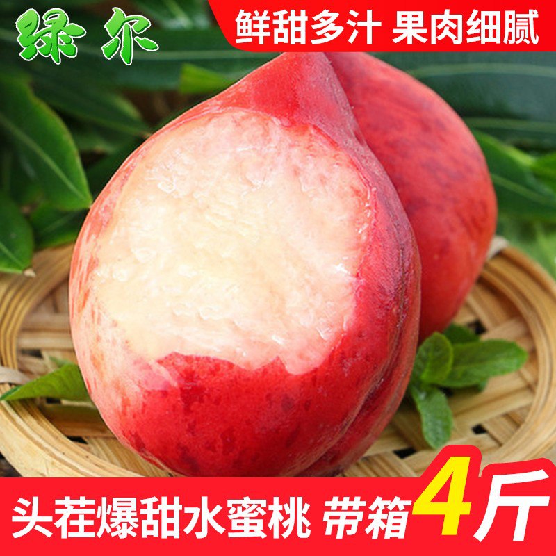 绿尔 新鲜水蜜桃桃子 新鲜 脆甜  净重3~3.5斤  只要29.8   比批发价还便宜