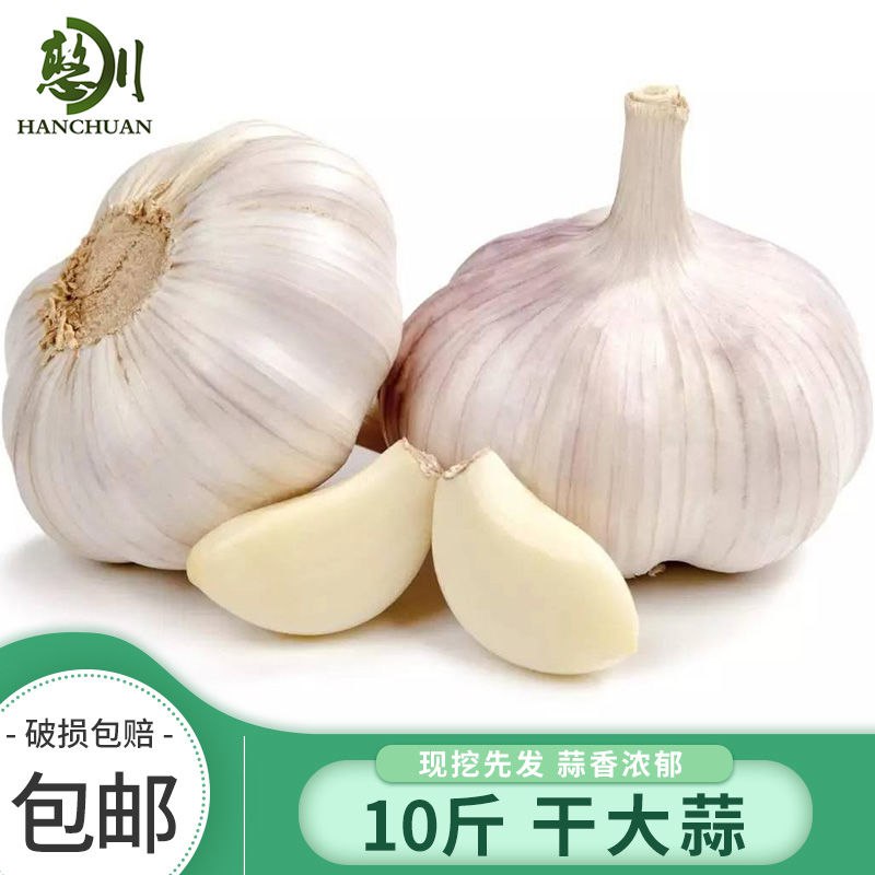 憨川 10斤 干蒜头 大蒜头蒜 紫白皮蒜 包邮 新干蒜2.5斤/5 新干蒜4.9元
