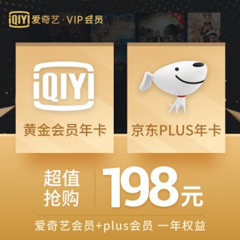 爱奇艺vip会员12个月 不支持tv端 享一年PLUS会员权益 （plus需手动领取）