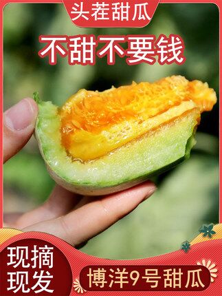 多妙屋 博洋9号羊角蜜甜瓜5斤 原价28.9元，券后18.9元包邮 