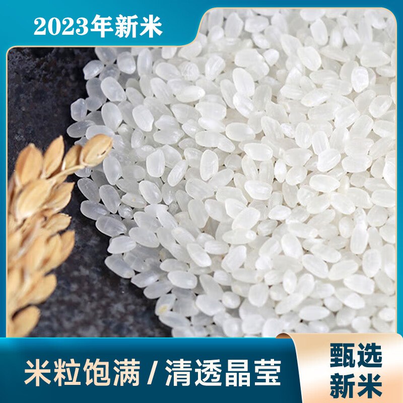 先领9-2补贴卷