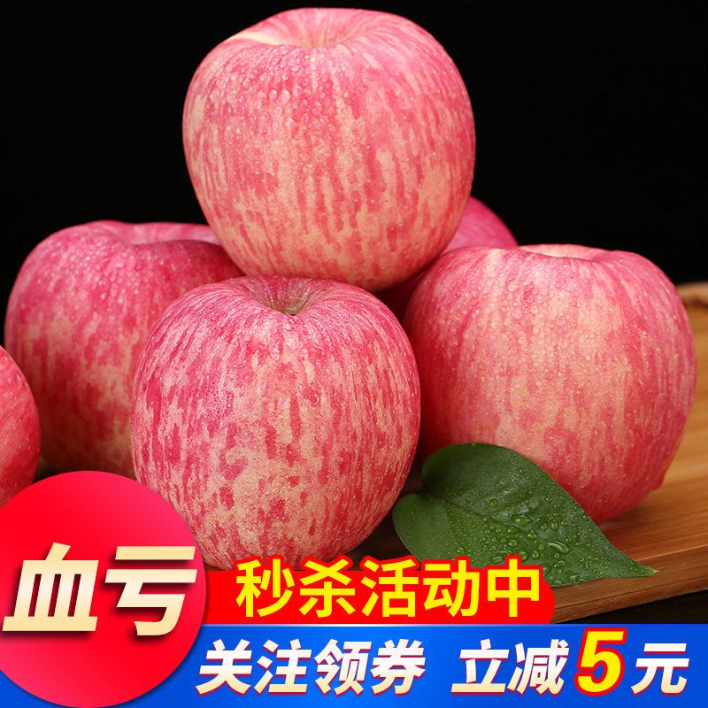 正宗烟台栖霞红富士苹果5/10斤 当季山东新鲜水果整箱批发包脆甜11.9元