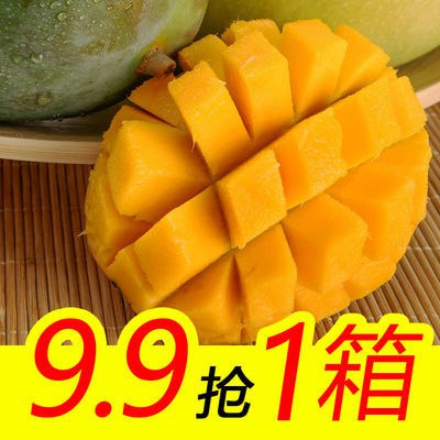 【9.9抢】四川攀枝花凯特大芒果新鲜水果热带水果大青芒果多规格