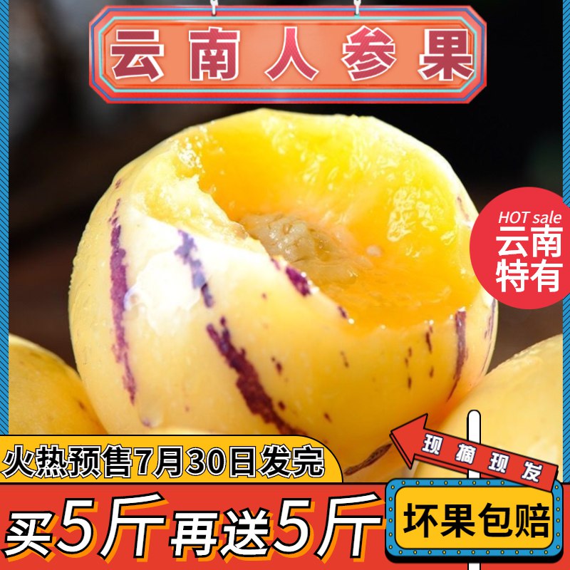 【买5送5】云南石林人参果圆果黄肉孕妇低糖水果当季新鲜现摘包邮【7月30日发完】8.5元