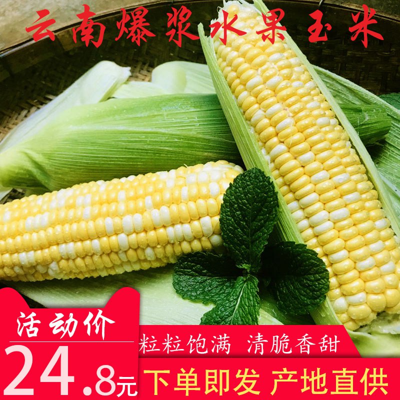 水果玉米新鲜甜玉米10斤装   (q9hl1GMW96r)    24.8亓----------618每天三次紅包搜索：