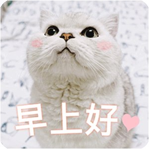 早安！又到了努力工作的日子了，加油