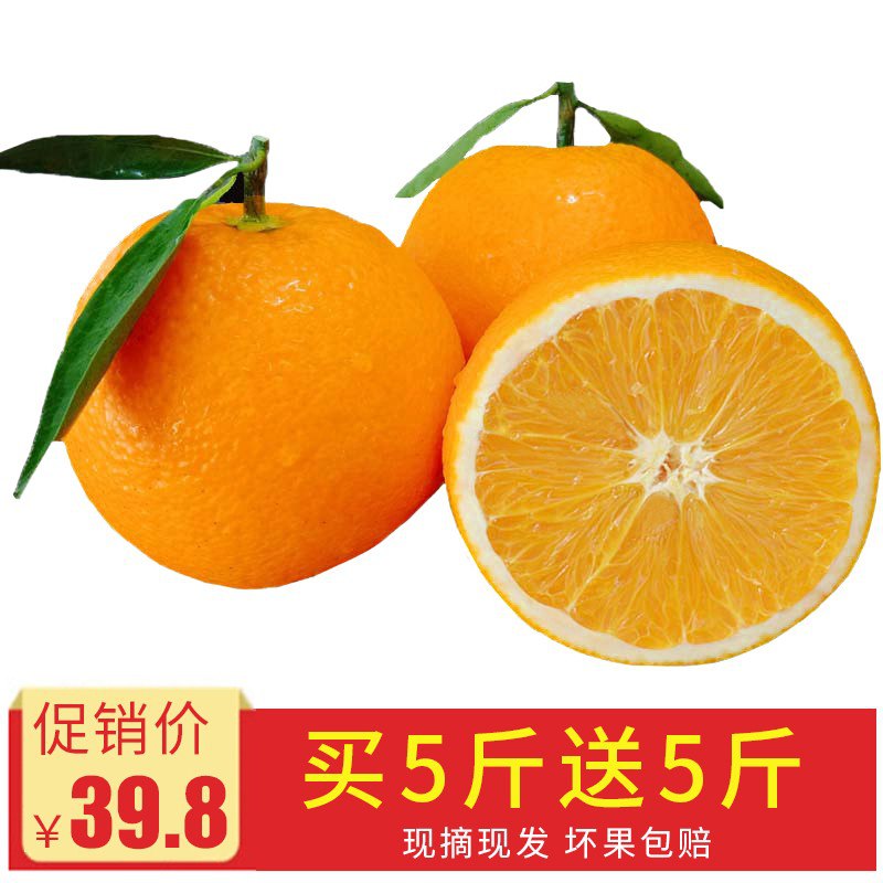 伦晚脐橙 薄皮甜橙 超爽口感 吃过的都知道10斤装  26.8