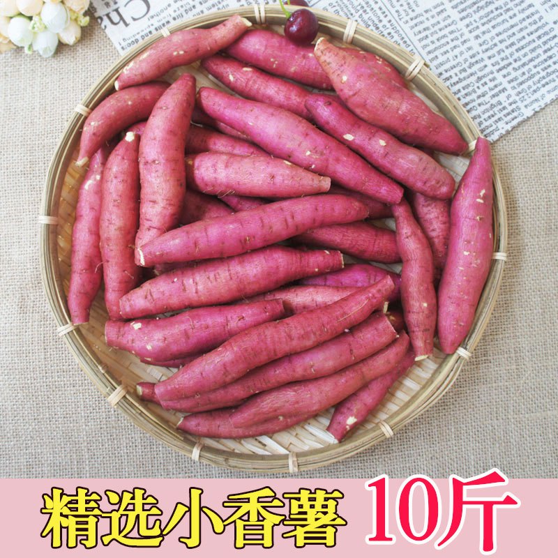 精选新鲜小红薯现挖陕西秦薯农家烤蜜薯面甜番薯地瓜10斤板栗地瓜26.8元 (Pbbx14LHZg3) 隐藏内部优惠券： m.zaihua.me