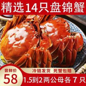 58元14只公母盘锦河大闸蟹1.5-2两(t7Qpcg5YGhZ)/  /