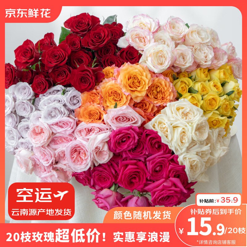 自营 玫瑰花合集15.9元 随机色玫瑰10枝送10枝