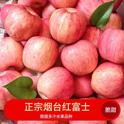 山东烟台栖霞红富士苹果水果脆甜多汁红富士买三斤送三斤13.8元