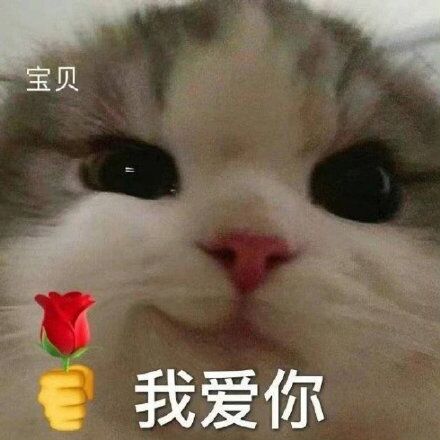 [CQ:at,qq=all] 日常艾特呀 中秋假期结束了嗷~大家上翻23.10看看有没有需要的上完0点车也早点休息 明天还要上课上班呢