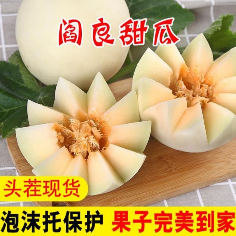 陕西阎良甜瓜，小果带箱10斤装