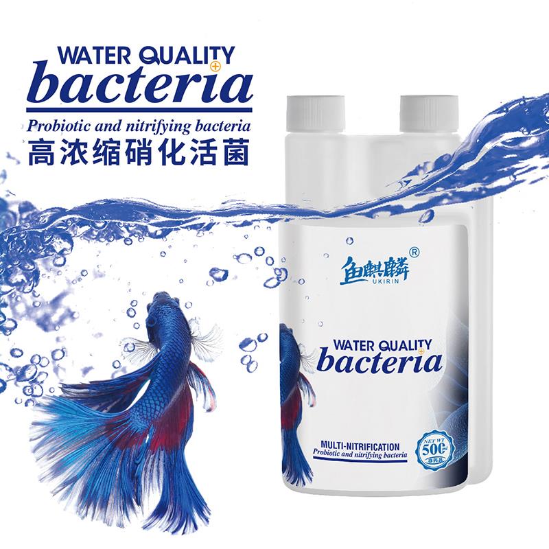 U先 鱼麒麟 硝化细菌净水剂1/ CZ7189 /dpviWLqNNWk//