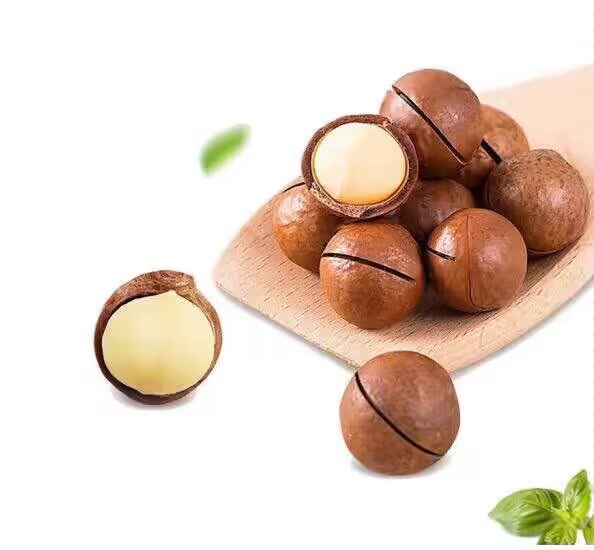 0点开始   19.9💵奶油味夏威夷果*500g)wQSNdKjqseK)/ CZ11//弥漫奶油香 仿佛置身奶油小铺果仁饱满、奶香滋润、口齿留香---全品券 d.618day.com/618