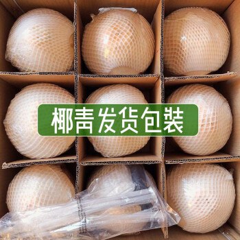 【顺丰现货】椰青整箱单果1000克以上 9个礼盒装，78.8元