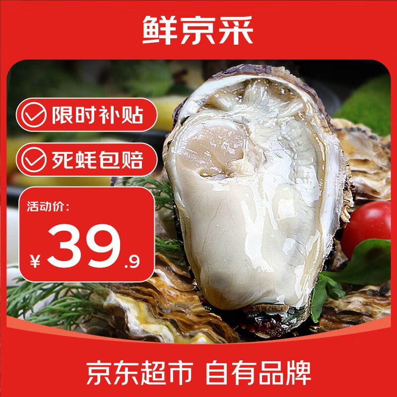 自营鲜京采 鲜活生蚝3XL净重5斤