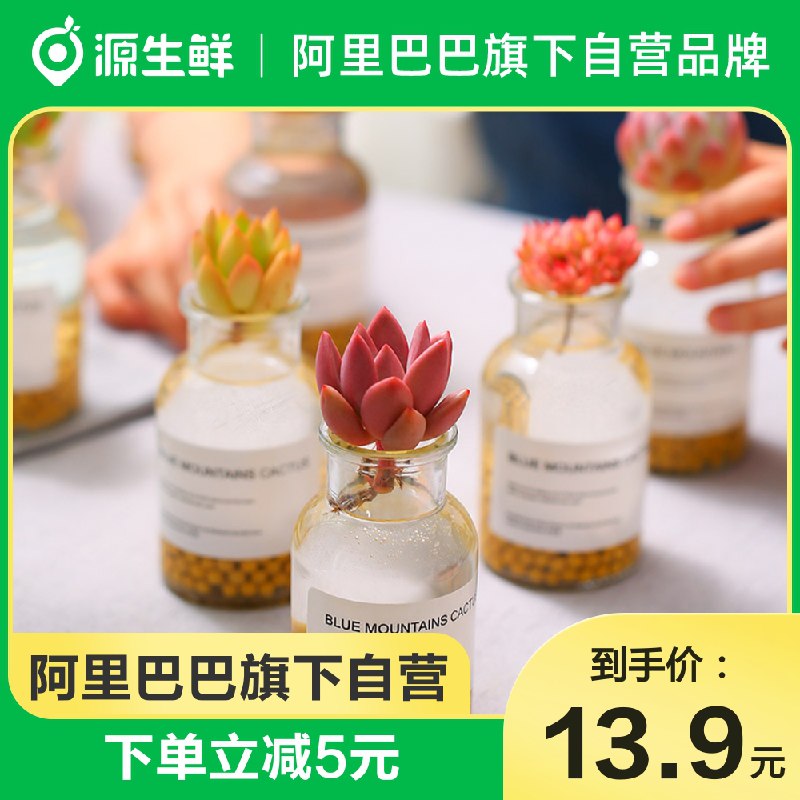13.9元 【源生鲜旗舰店】云南基地直发多肉盲盒2颗)Iq2cdP5oz0Z)/ CZ11//含盆，这个是水培的很干净放在家里还能净化空气 很不错